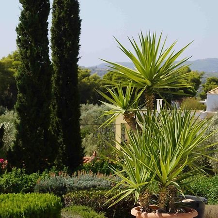 Villa Desiree Bouzaíika Εξωτερικό φωτογραφία