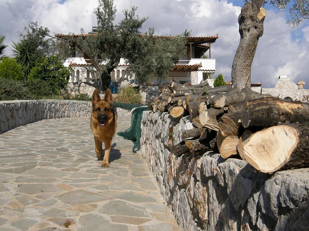 Villa Desiree Bouzaíika Εξωτερικό φωτογραφία