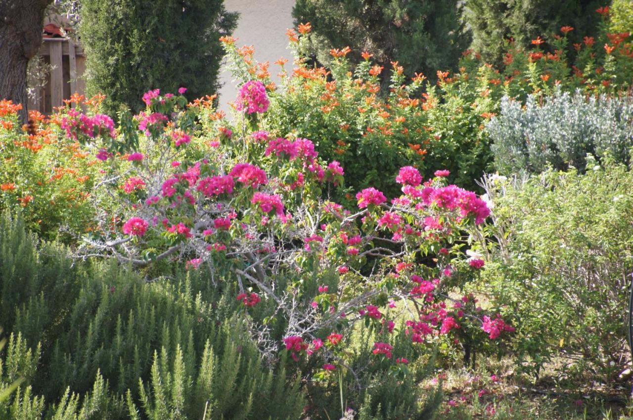 Villa Desiree Bouzaíika Εξωτερικό φωτογραφία