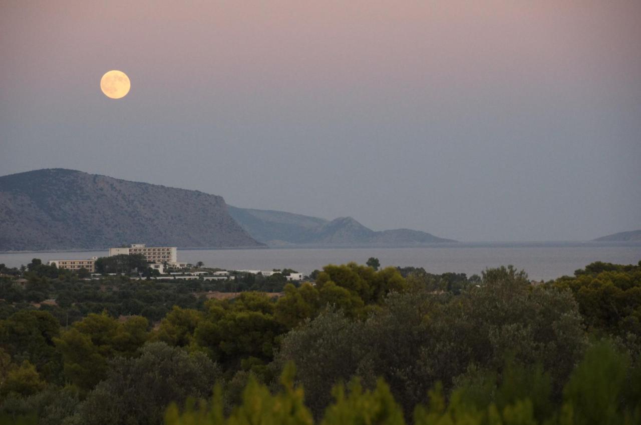 Villa Desiree Bouzaíika Εξωτερικό φωτογραφία