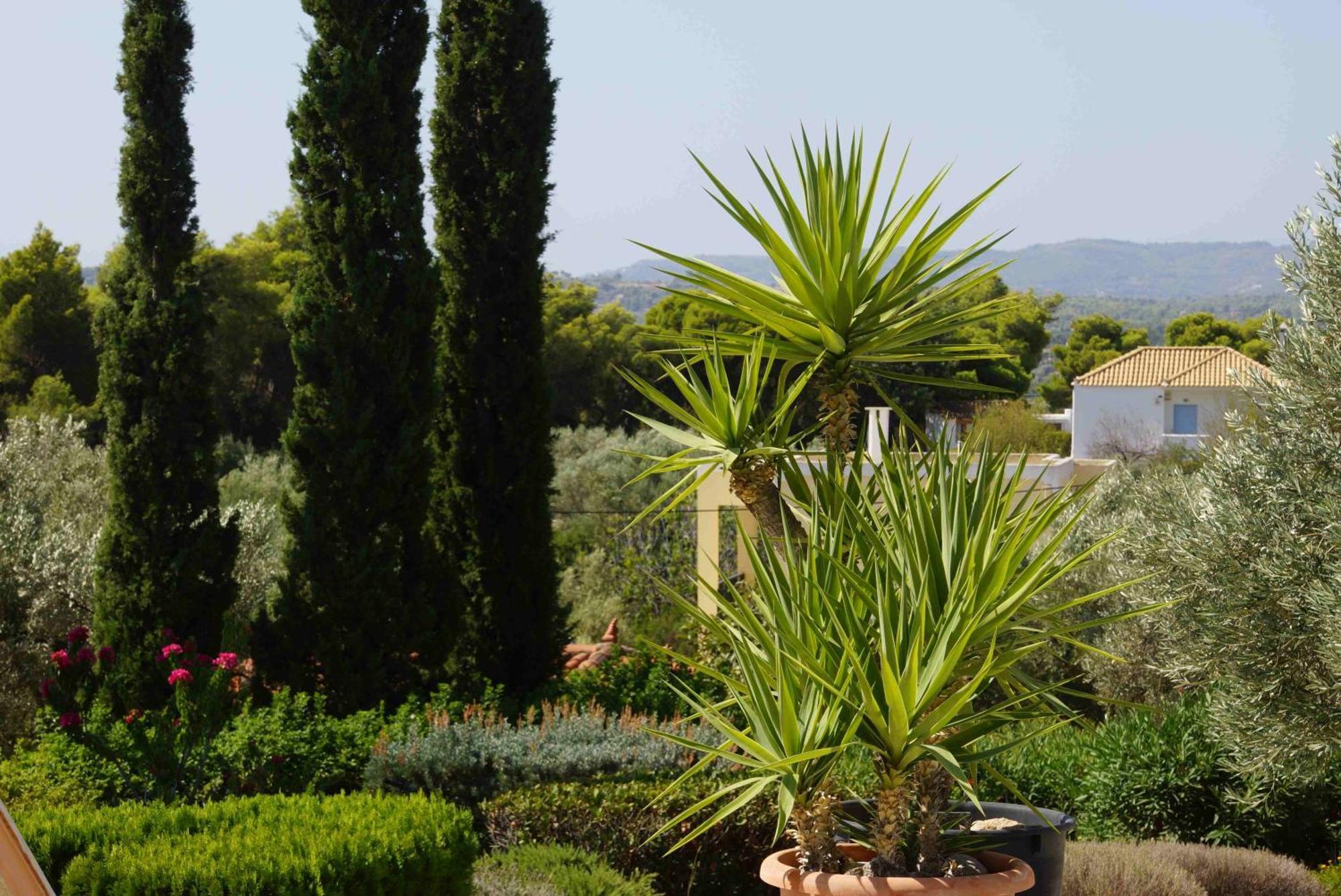Villa Desiree Bouzaíika Εξωτερικό φωτογραφία